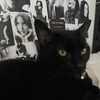 celecia Altpins Profile Picture