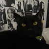 celecia Altpins Profile Picture
