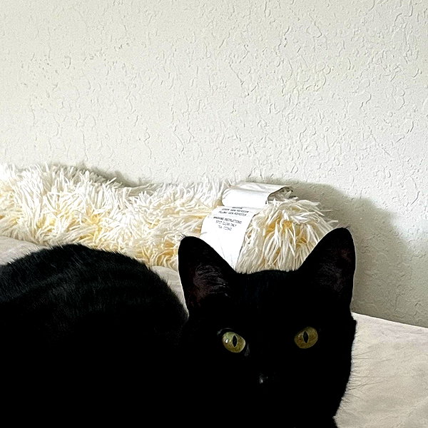 celecia instagram image archive image
