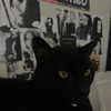 celecia Altpins Profile Picture