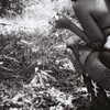 celecia Altpins Profile Picture
