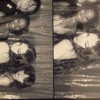 celecia Altpins Profile Picture