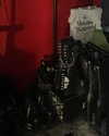 celecia Altpins Profile Picture