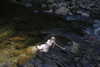 ch111oe Altpins Profile Picture