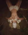 ch111oe Altpins Profile Picture