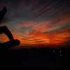 chen__vibes Altpins Profile Picture