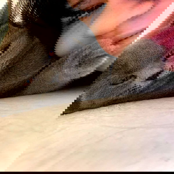 chibinekopurr chibinekopurr archive image