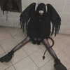 chica.niebla Altpins Profile Picture