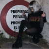 chica.niebla Altpins Profile Picture