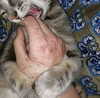 chica.niebla Altpins Profile Picture