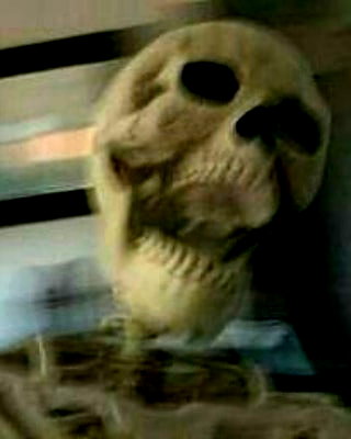 chica.niebla instagram image archive image