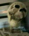 chica.niebla Altpins Profile Picture
