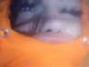 chica.niebla Altpins Profile Picture
