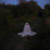 chica.niebla Altpins Profile Picture