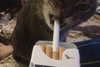 chica.niebla Altpins Profile Picture