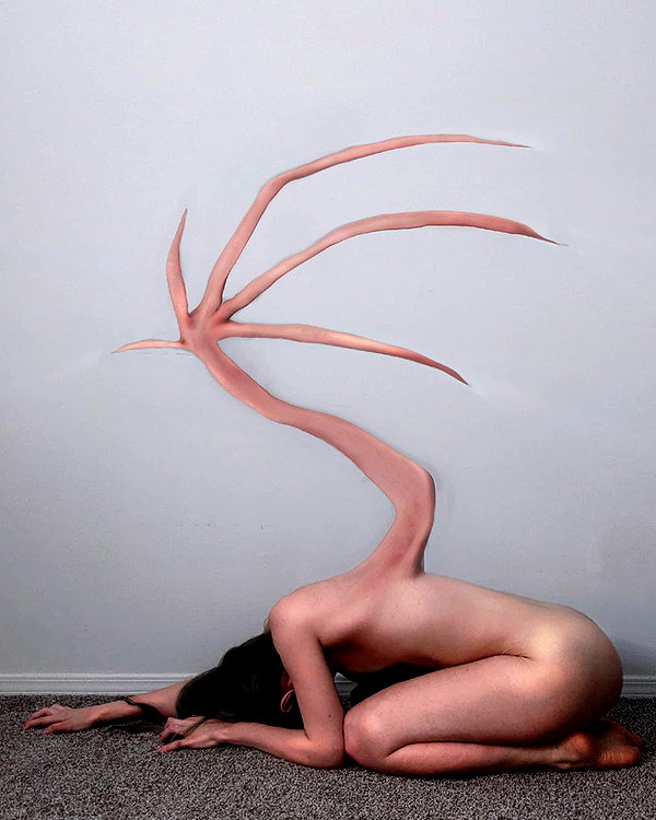 chica.niebla instagram image archive image