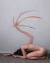 chica.niebla Altpins Profile Picture