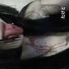 chica.niebla Altpins Profile Picture