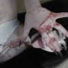 chica.niebla Altpins Profile Picture