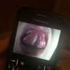 chica.niebla Altpins Profile Picture
