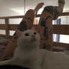 chica.niebla Altpins Profile Picture
