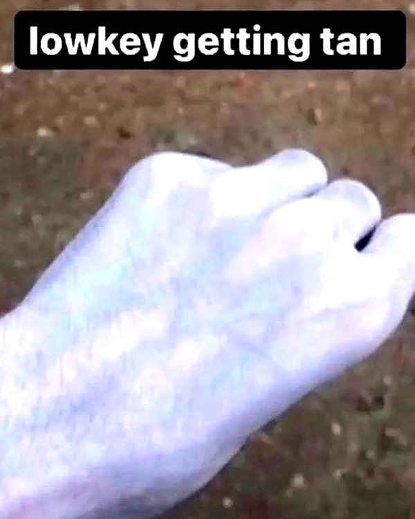 cinnannoe instagram image archive image