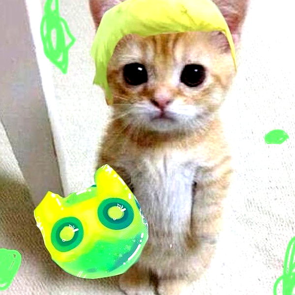 cinnannoe instagram image archive image