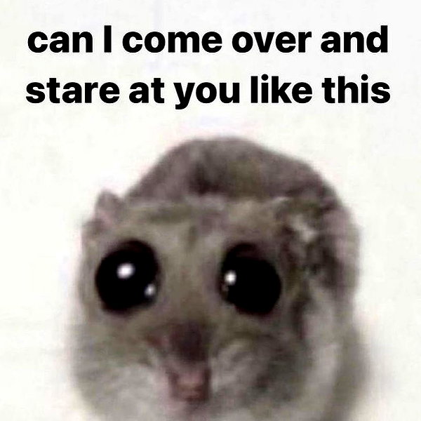 cinnannoe instagram image archive image
