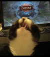 cinnannoe Altpins Profile Picture