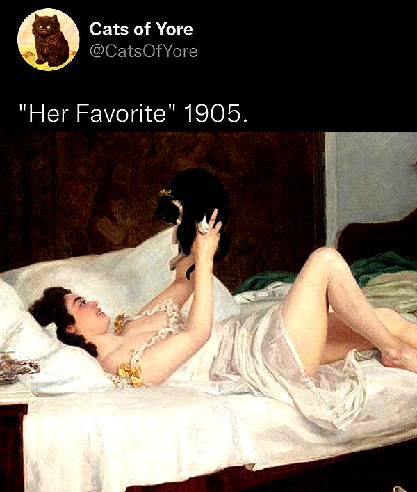 cinnannoe instagram image archive image