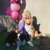 clairegallash Altpins Profile Picture