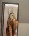 clairegallash Altpins Profile Picture