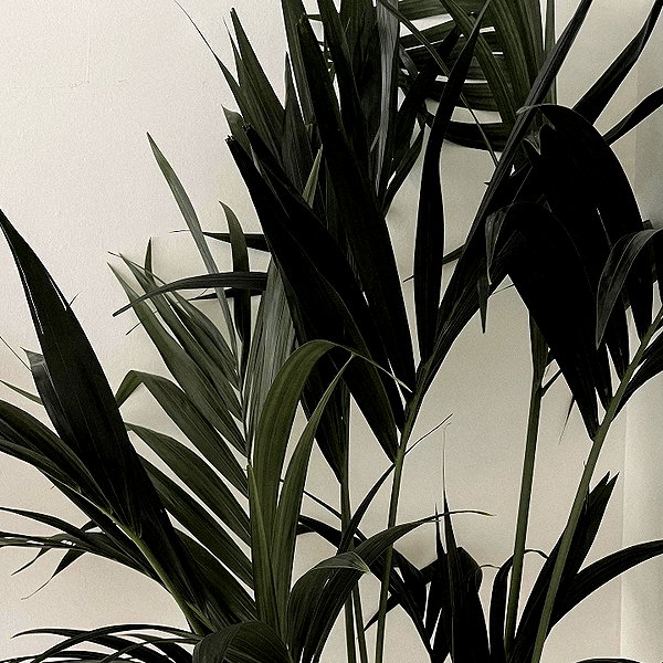 corinnemazzoli instagram image archive image