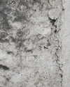 corinnemazzoli Altpins Profile Picture