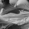 corinnemazzoli Altpins Profile Picture