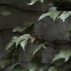 corinnemazzoli Altpins Profile Picture
