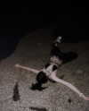 cry.4.mee Altpins Profile Picture