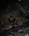cry.4.mee Altpins Profile Picture