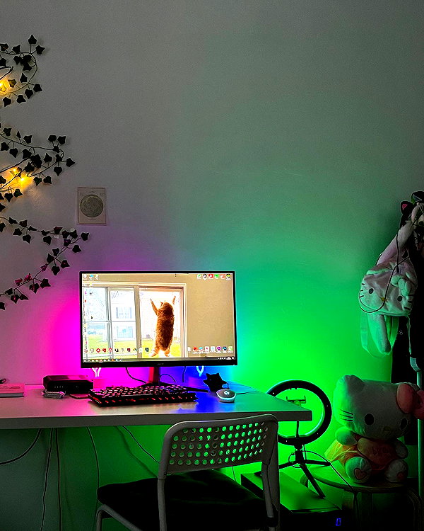 cyberkitty_____ instagram image archive image