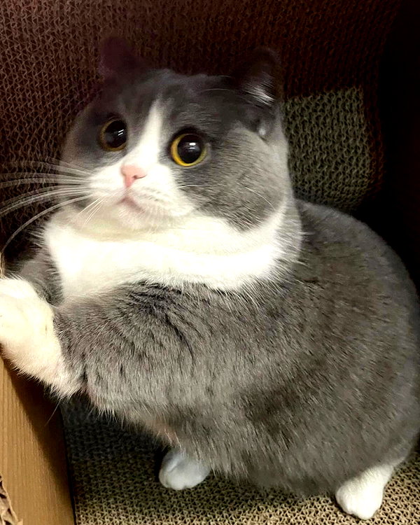 cyberkitty_____ instagram image archive image