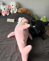 cyberkitty_____ Altpins Profile Picture