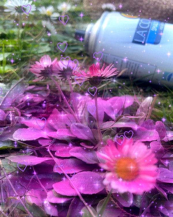 d3ad.doll instagram image archive image