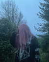 da1syisdead Altpins Profile Picture