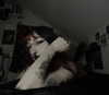 da1syisdead Altpins Profile Picture