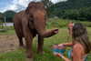 dafna_moshe_ Altpins Profile Picture