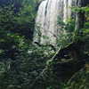 daisystorey_x Altpins Profile Picture