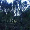 daisystorey_x Altpins Profile Picture