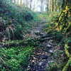 daisystorey_x Altpins Profile Picture