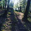 daisystorey_x Altpins Profile Picture