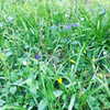 daisystorey_x Altpins Profile Picture